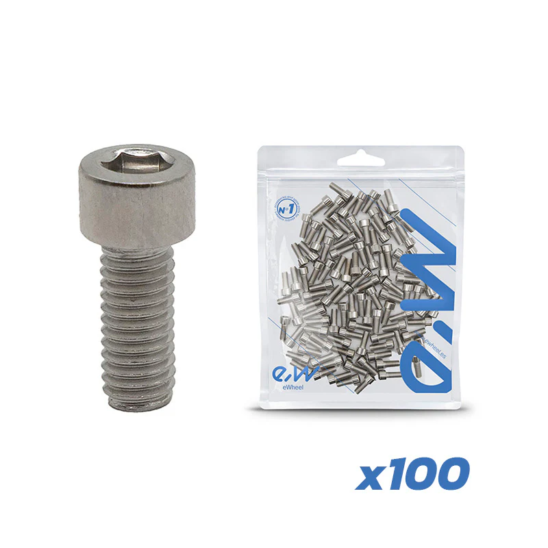 Tornillos guardabarro Dualtron 100 uds